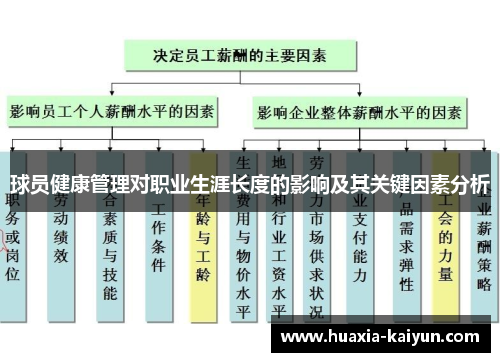 球员健康管理对职业生涯长度的影响及其关键因素分析 球员健康管理对职业生涯长度的影响及其关键因素分析