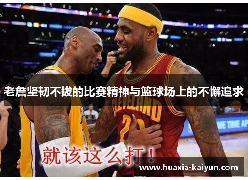 老詹坚韧不拔的比赛精神与篮球场上的不懈追求